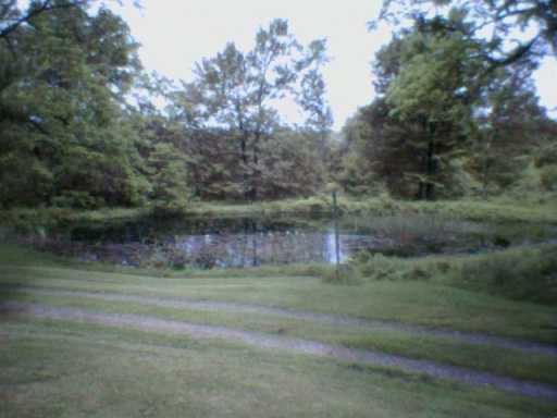 208 Clark Road West Sunbury, PA 16061 - Photo 2 of 8 Gallery Image 2