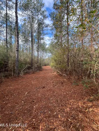 $135,000 | 40-acres Deep Creek Road, Wiggins, MS 39577