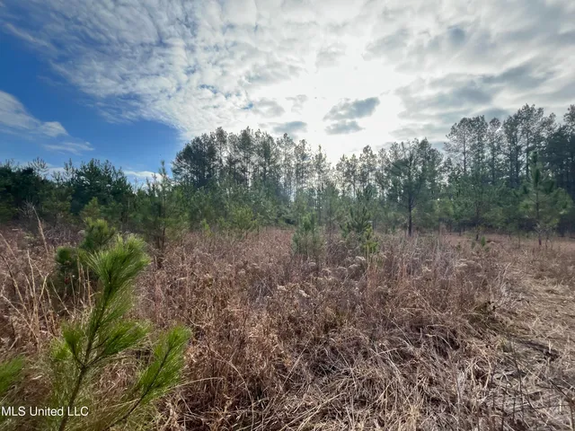 $135,000 | 40-acres Deep Creek Road, Wiggins, MS 39577