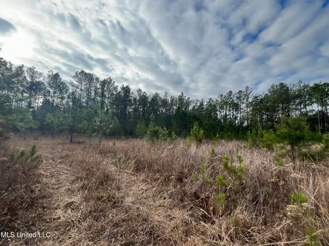 $135,000 | 40-acres Deep Creek Road, Wiggins, MS 39577