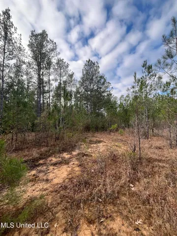 $135,000 | 40-acres Deep Creek Road, Wiggins, MS 39577
