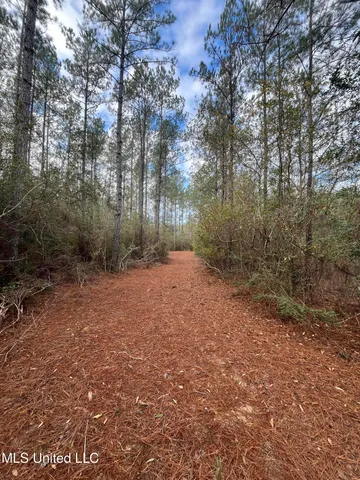 $135,000 | 40-acres Deep Creek Road, Wiggins, MS 39577