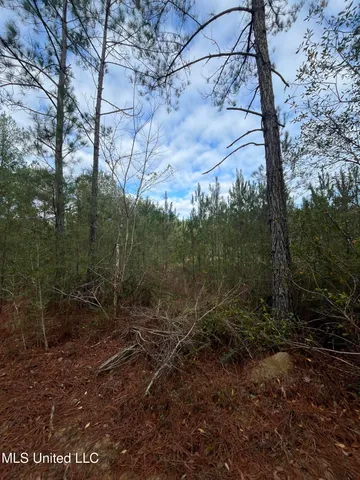 $135,000 | 40-acres Deep Creek Road, Wiggins, MS 39577