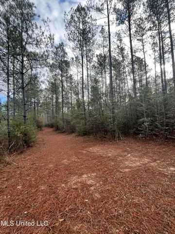 $135,000 | 40-acres Deep Creek Road, Wiggins, MS 39577
