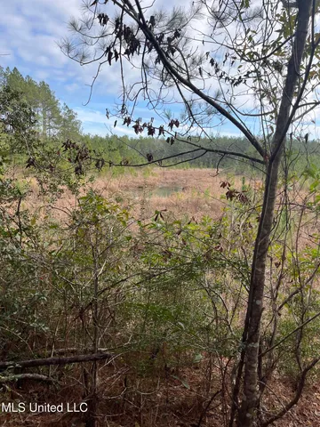 $135,000 | 40-acres Deep Creek Road, Wiggins, MS 39577