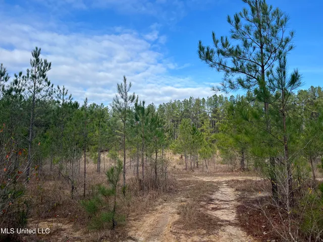 $135,000 | 40-acres Deep Creek Road, Wiggins, MS 39577