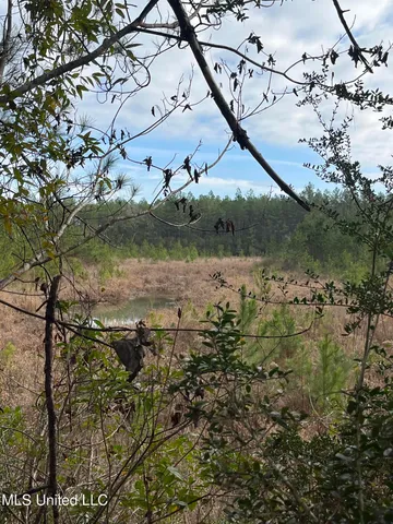 $135,000 | 40-acres Deep Creek Road, Wiggins, MS 39577