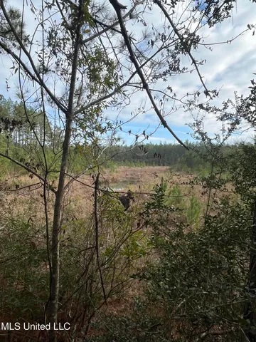 $135,000 | 40-acres Deep Creek Road, Wiggins, MS 39577