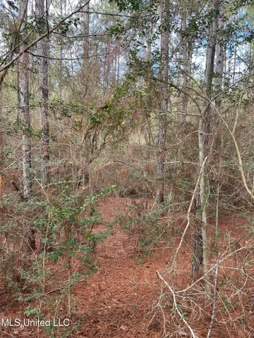 $135,000 | 40-acres Deep Creek Road, Wiggins, MS 39577