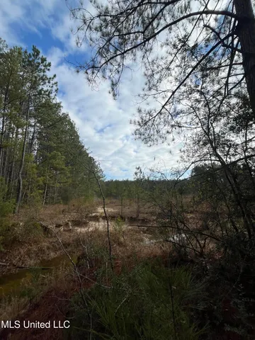 $135,000 | 40-acres Deep Creek Road, Wiggins, MS 39577