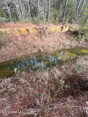 $135,000 | 40-acres Deep Creek Road, Wiggins, MS 39577