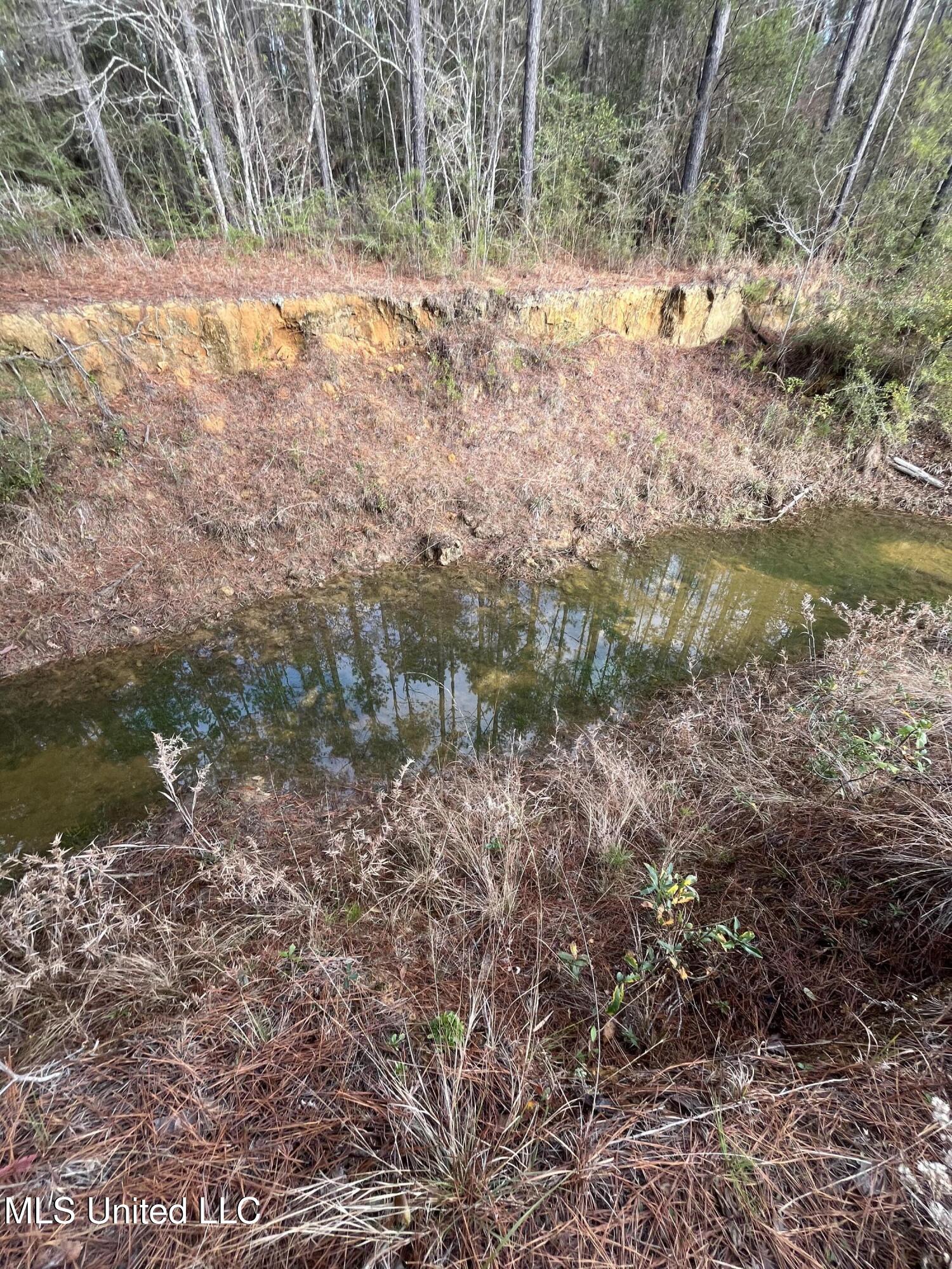 40-acres Deep Creek Road Wiggins, MS 39577 - Photo 26 of 35 IMG_1007