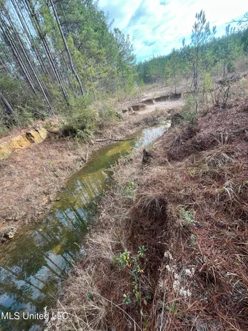 $135,000 | 40-acres Deep Creek Road, Wiggins, MS 39577