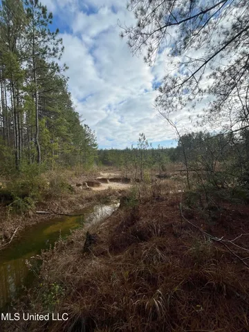 $135,000 | 40-acres Deep Creek Road, Wiggins, MS 39577