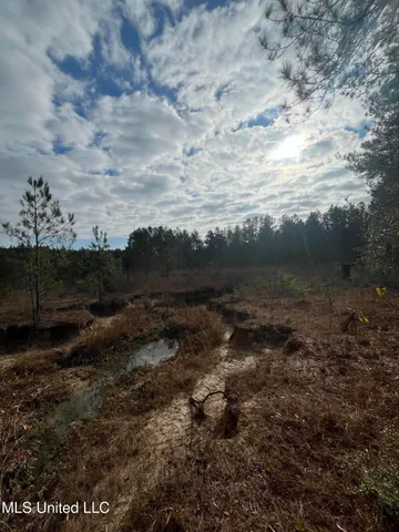 $135,000 | 40-acres Deep Creek Road, Wiggins, MS 39577