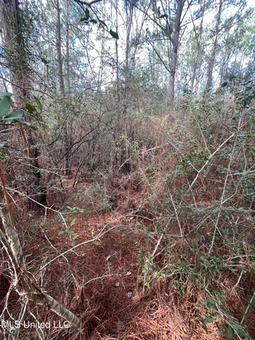$135,000 | 40-acres Deep Creek Road, Wiggins, MS 39577