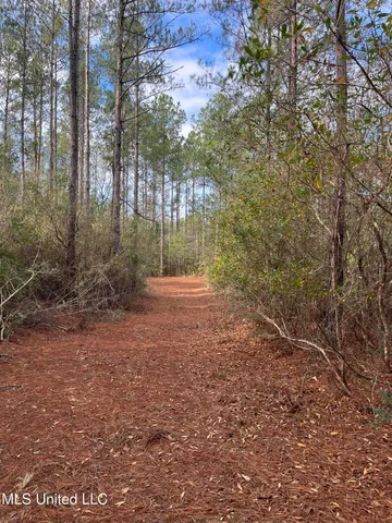 $135,000 | 40-acres Deep Creek Road, Wiggins, MS 39577
