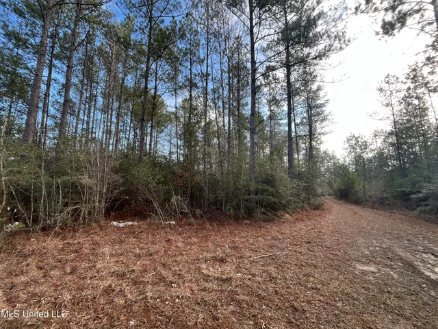 $135,000 | 40-acres Deep Creek Road, Wiggins, MS 39577