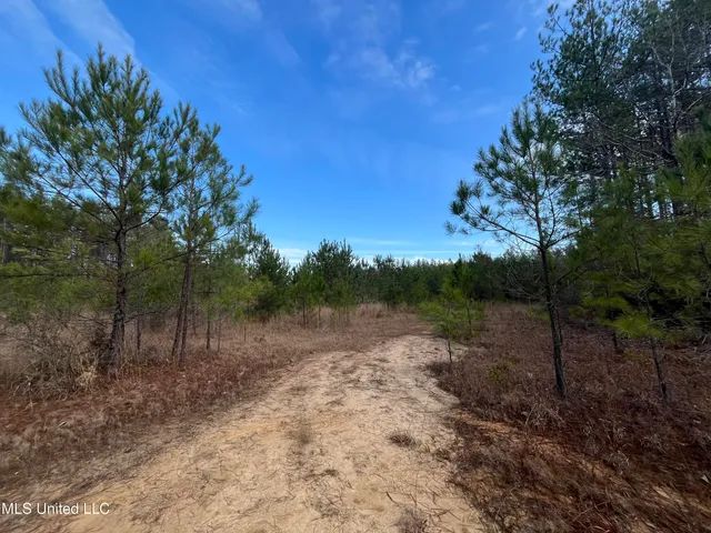 $135,000 | 40-acres Deep Creek Road, Wiggins, MS 39577