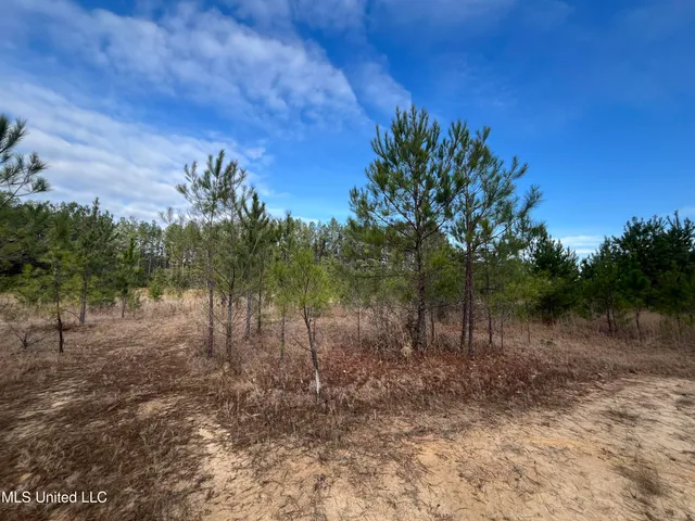 $135,000 | 40-acres Deep Creek Road, Wiggins, MS 39577