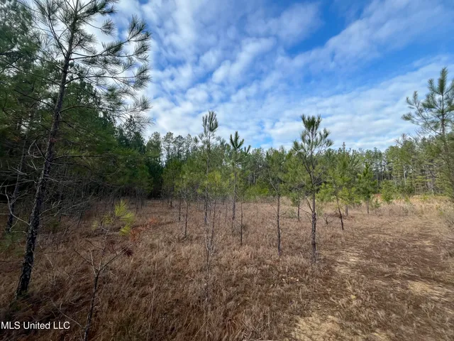$135,000 | 40-acres Deep Creek Road, Wiggins, MS 39577