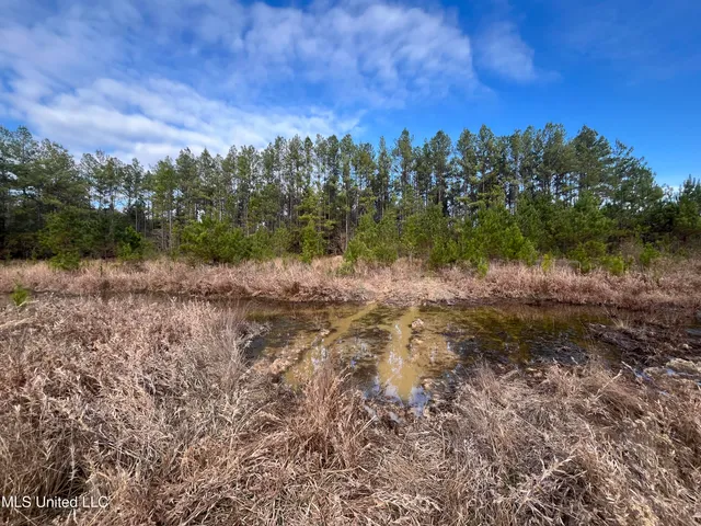 $135,000 | 40-acres Deep Creek Road, Wiggins, MS 39577