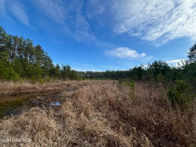 $135,000 | 40-acres Deep Creek Road, Wiggins, MS 39577