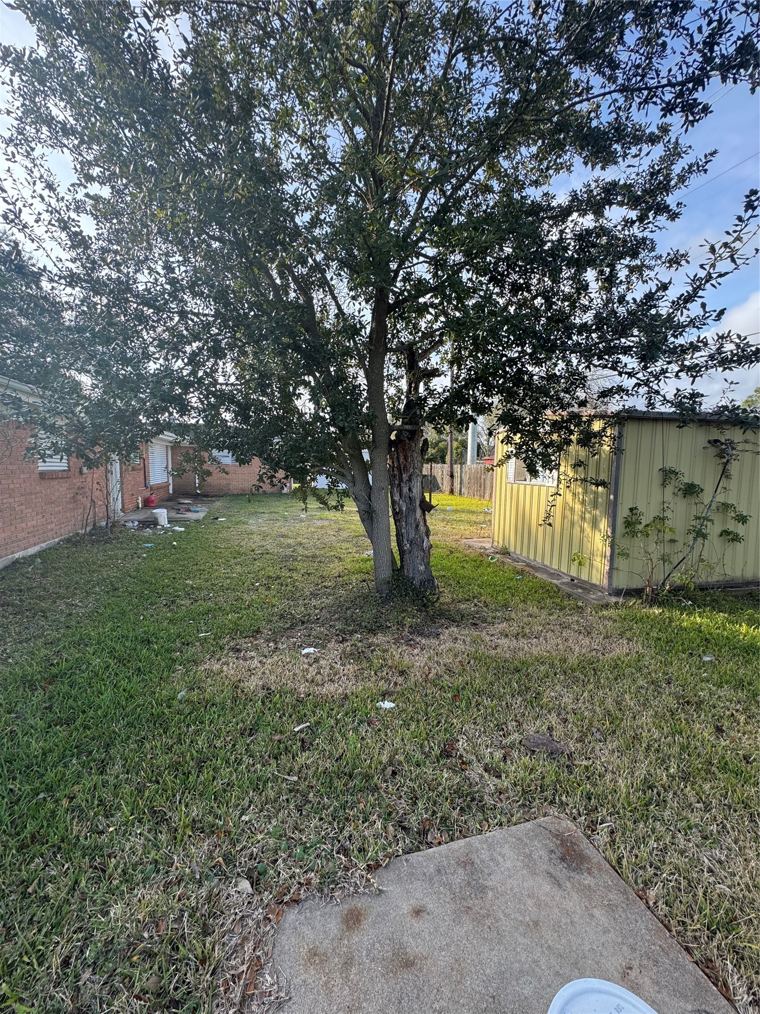 2522 Jackson La Marque, TX 77568 - Photo 18 of 18 a view of a yard with a tree
