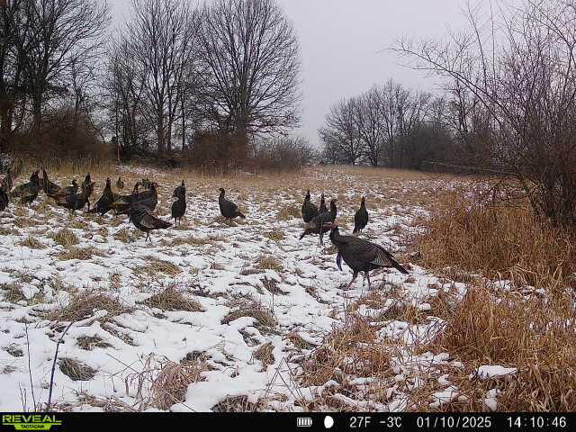 16110 Washburn Road Grass Lake, MI 49240 - Photo 20 of 24 7483619124249631347