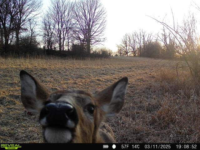 16110 Washburn Road Grass Lake, MI 49240 - Photo 21 of 24 280886395053893997