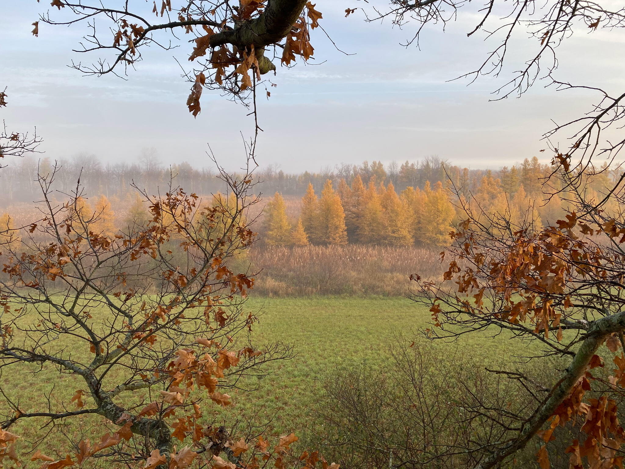 16110 Washburn Road Grass Lake, MI 49240 - Photo 22 of 24 3511621980344535617