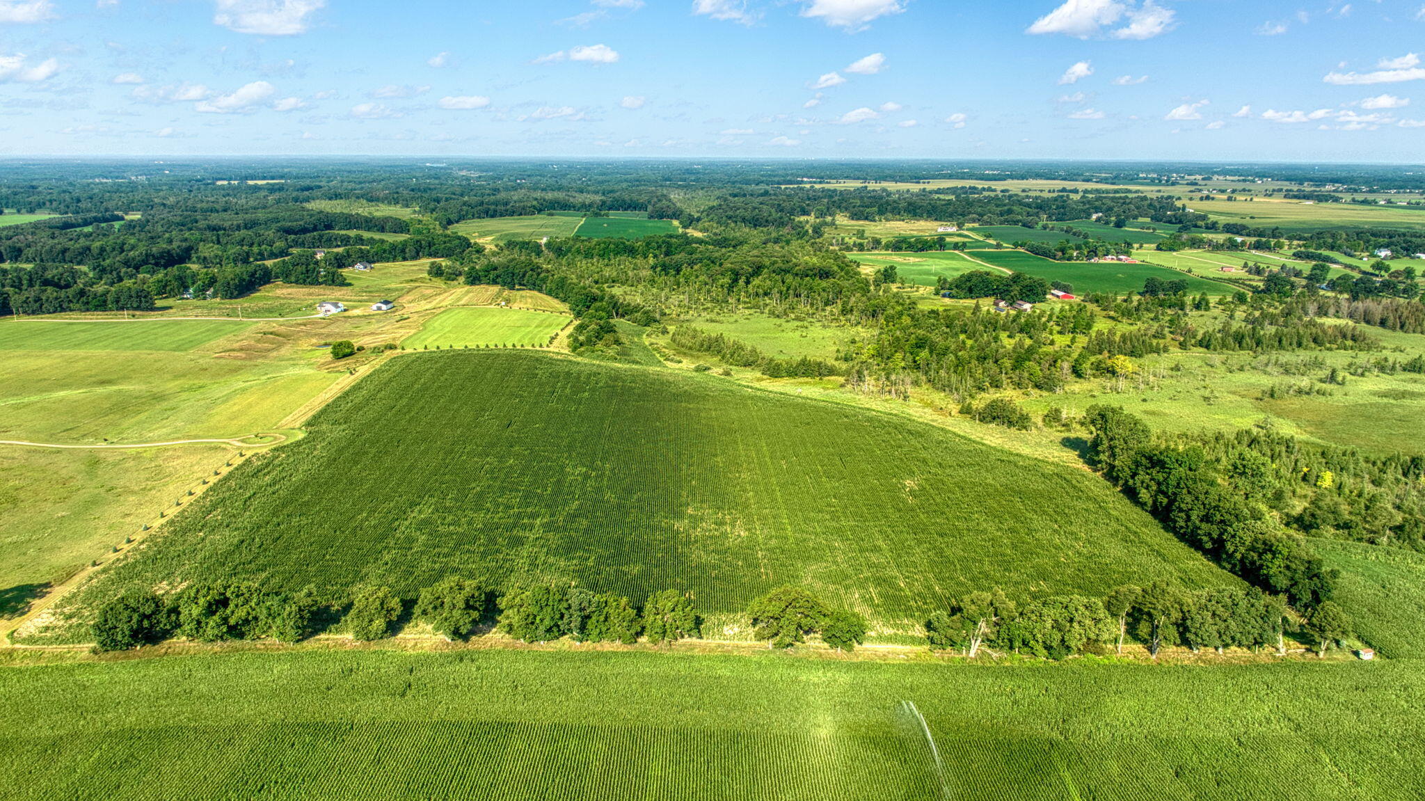 16110 Washburn Road Grass Lake, MI 49240 - Photo 7 of 24 6-web-or-mls-DJI_0009_HDR