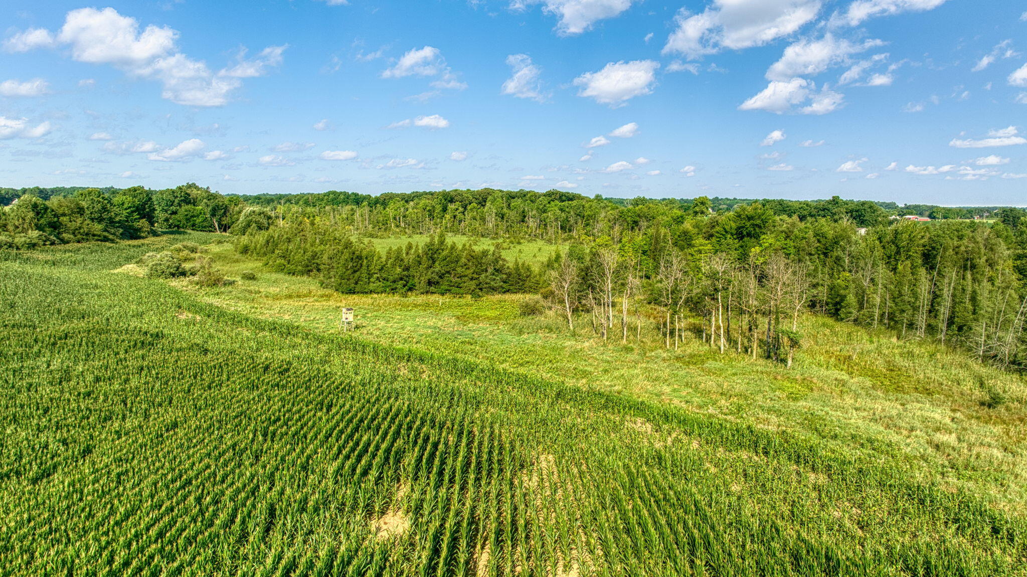16110 Washburn Road Grass Lake, MI 49240 - Photo 8 of 24 7-web-or-mls-DJI_0996_HDR