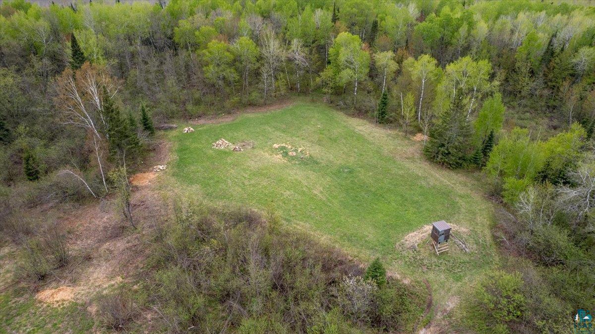 5190 County Road M Gordon, WI 54838 - Photo 27 of 31 Expansive clearing with vibrant green grass, surrounded by diverse mature trees, offering a private setting