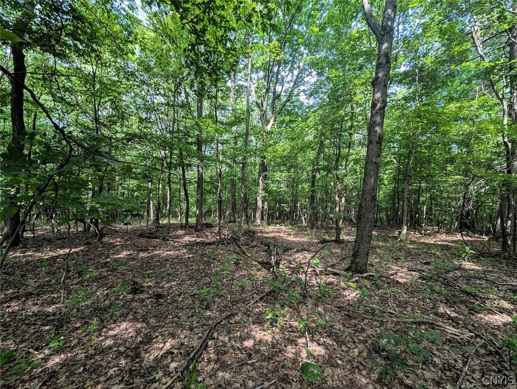 Keifer Hollow Road Dansville, NY 14437 - Photo 18 of 33