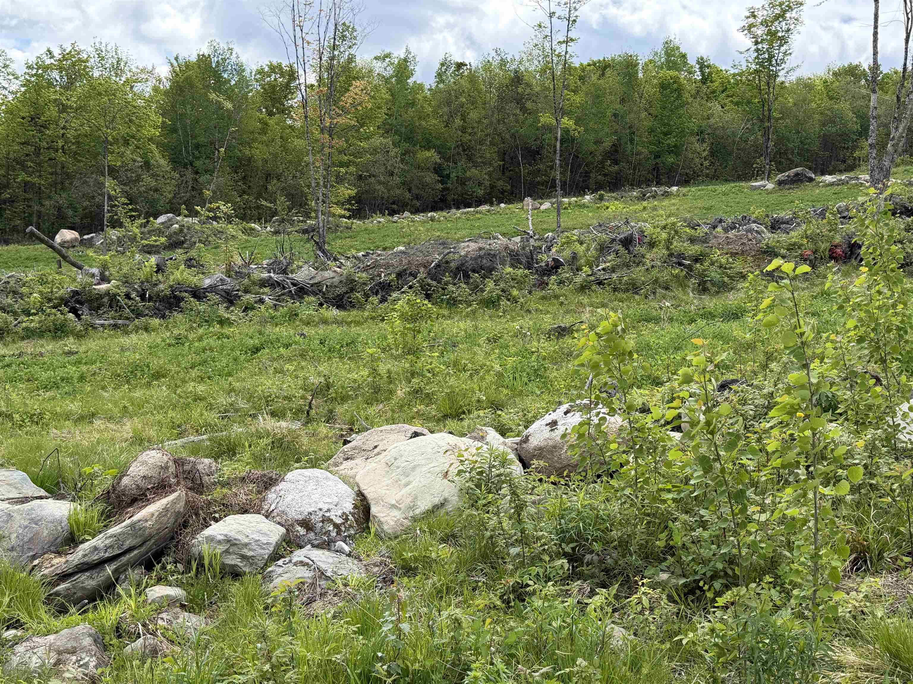 0 Gibbs Road, Unit LOT #2 Newport Center, VT 05857 - Photo 4 of 11