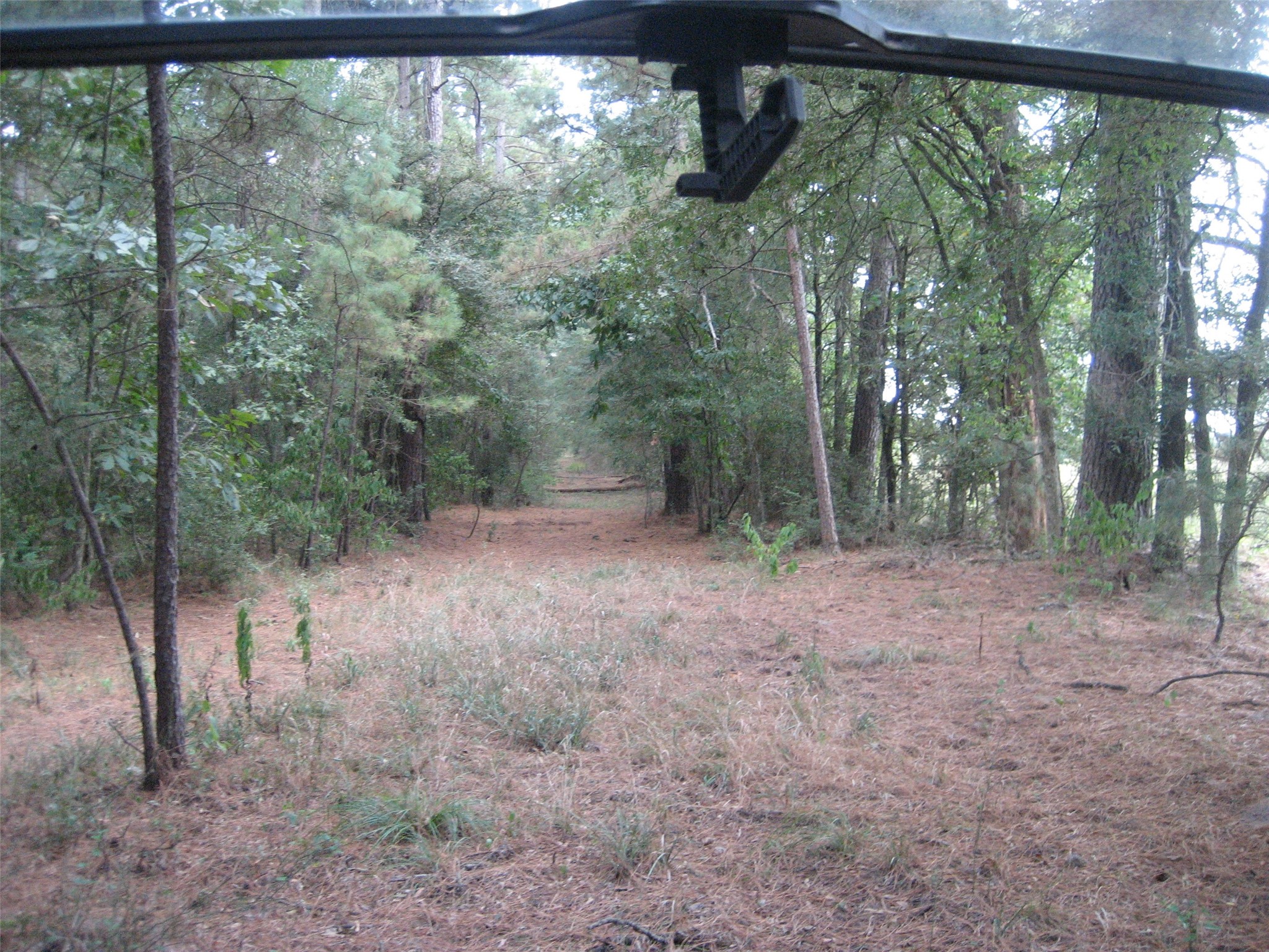 0 State Highway Crockett, TX 75835 - Photo 11 of 18 a view of a forest with trees in the background