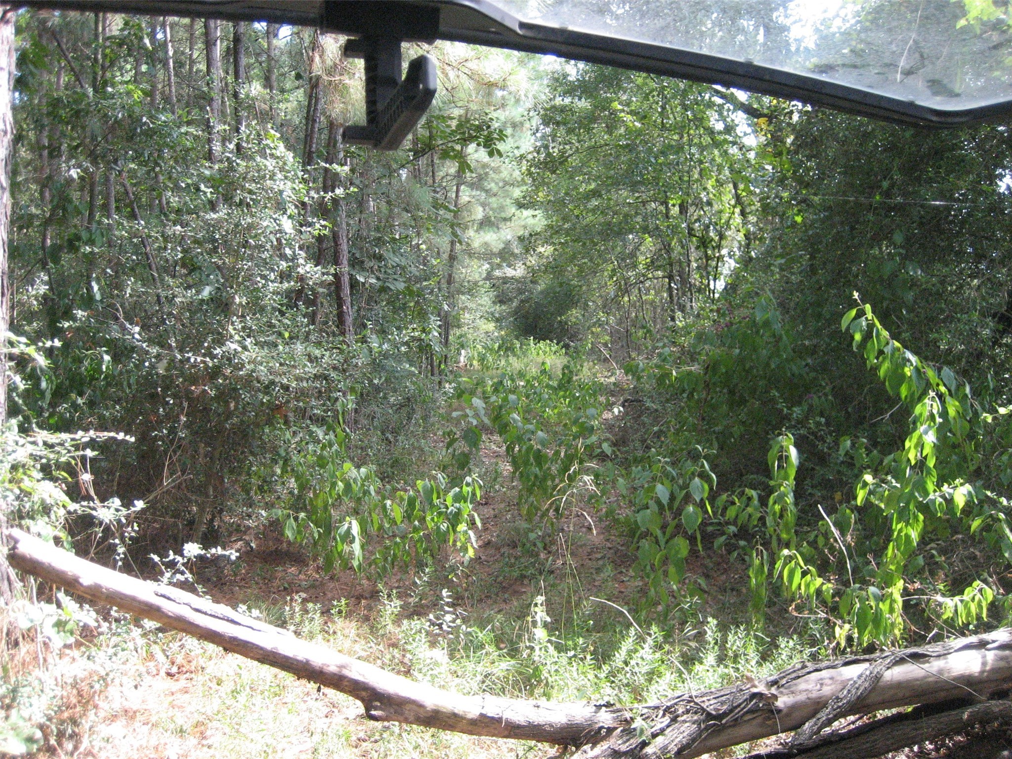 0 State Highway Crockett, TX 75835 - Photo 12 of 18