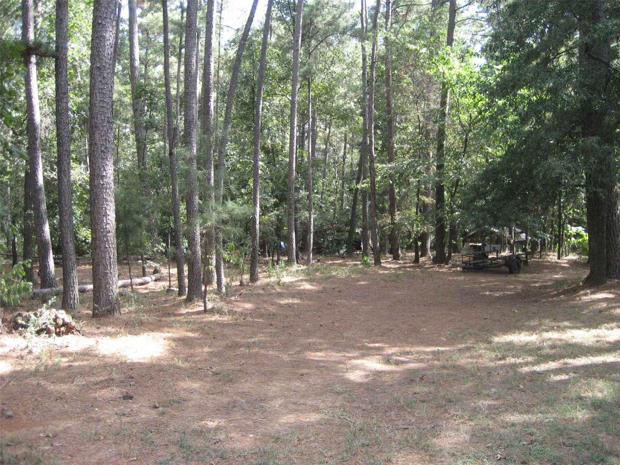 0 State Highway Crockett, TX 75835 - Photo 13 of 18 a view of road with trees