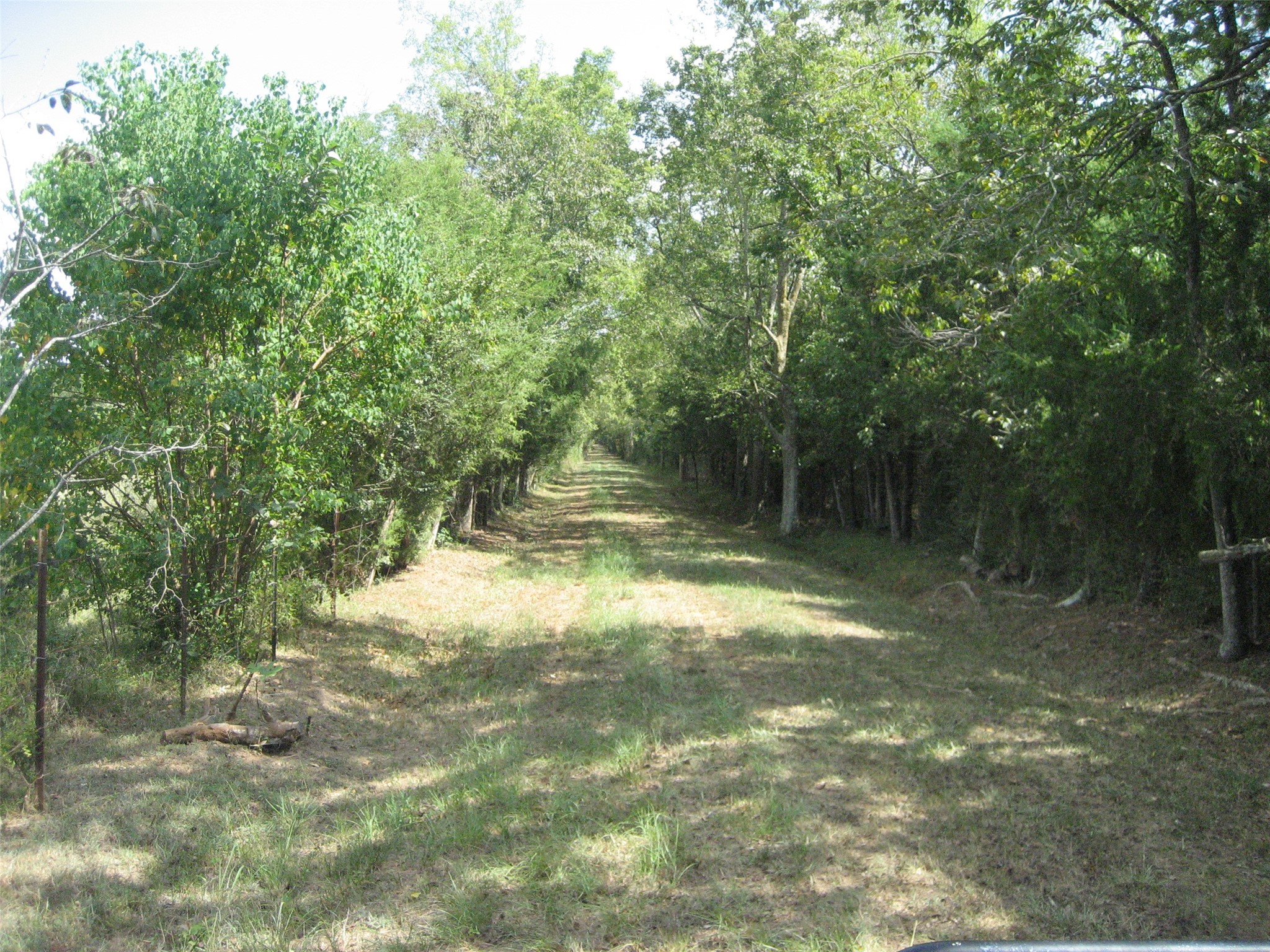 0 State Highway Crockett, TX 75835 - Photo 15 of 18 a backyard of a house with lots of green space