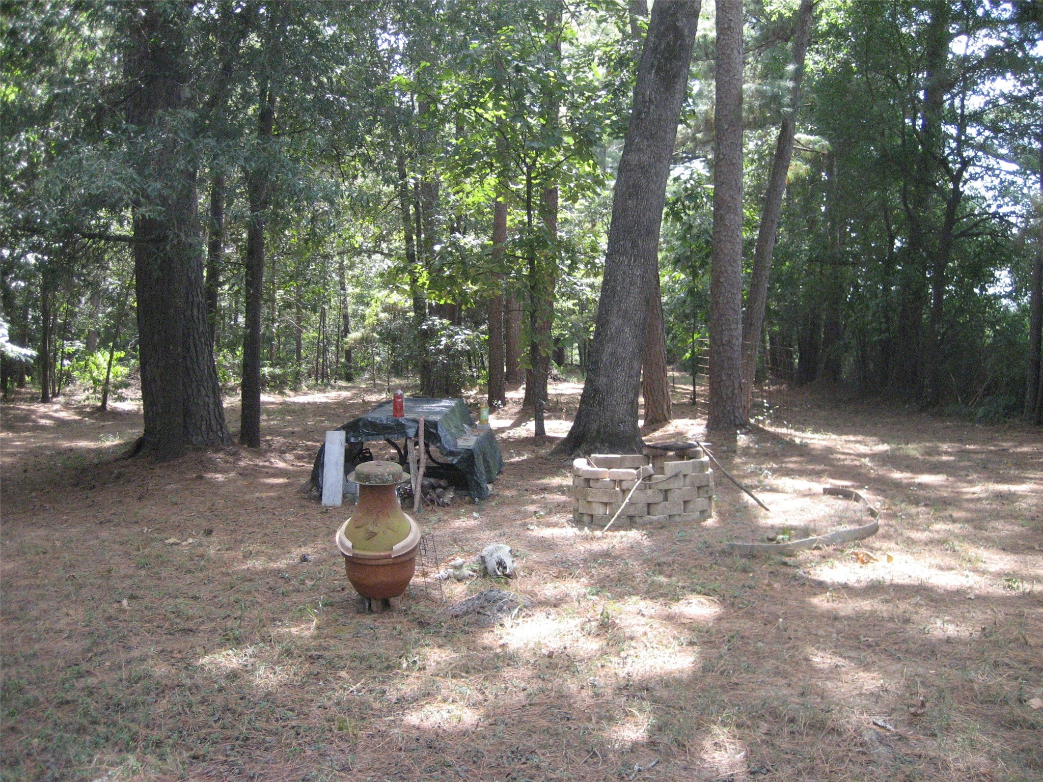 0 State Highway Crockett, TX 75835 - Photo 18 of 18 a view of a outdoor space with a trees