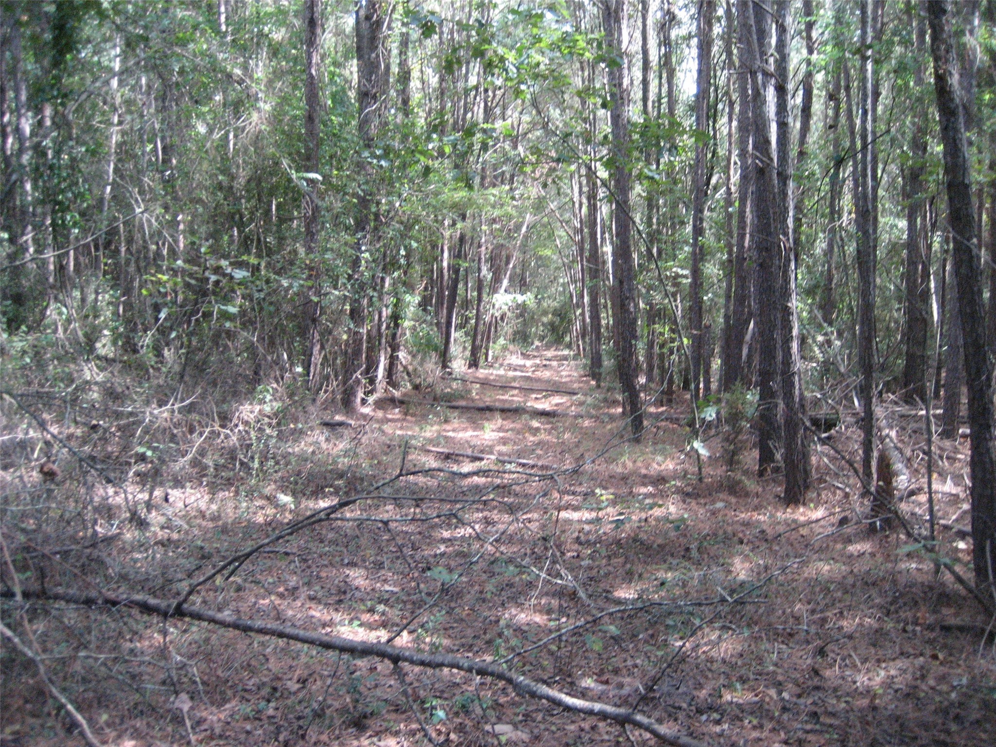 0 State Highway Crockett, TX 75835 - Photo 4 of 18 a view of outdoor space with trees