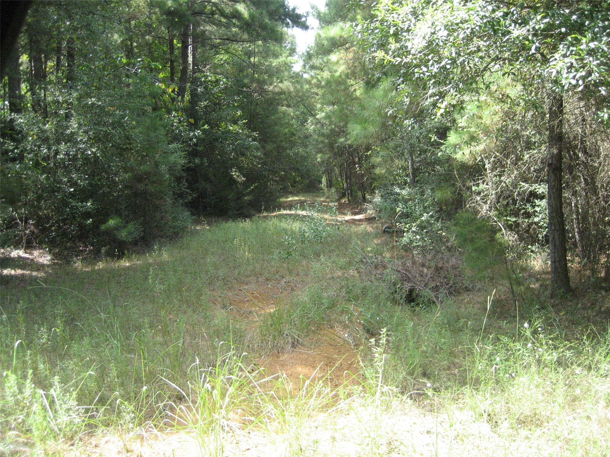 0 State Highway Crockett, TX 75835 - Photo 7 of 18