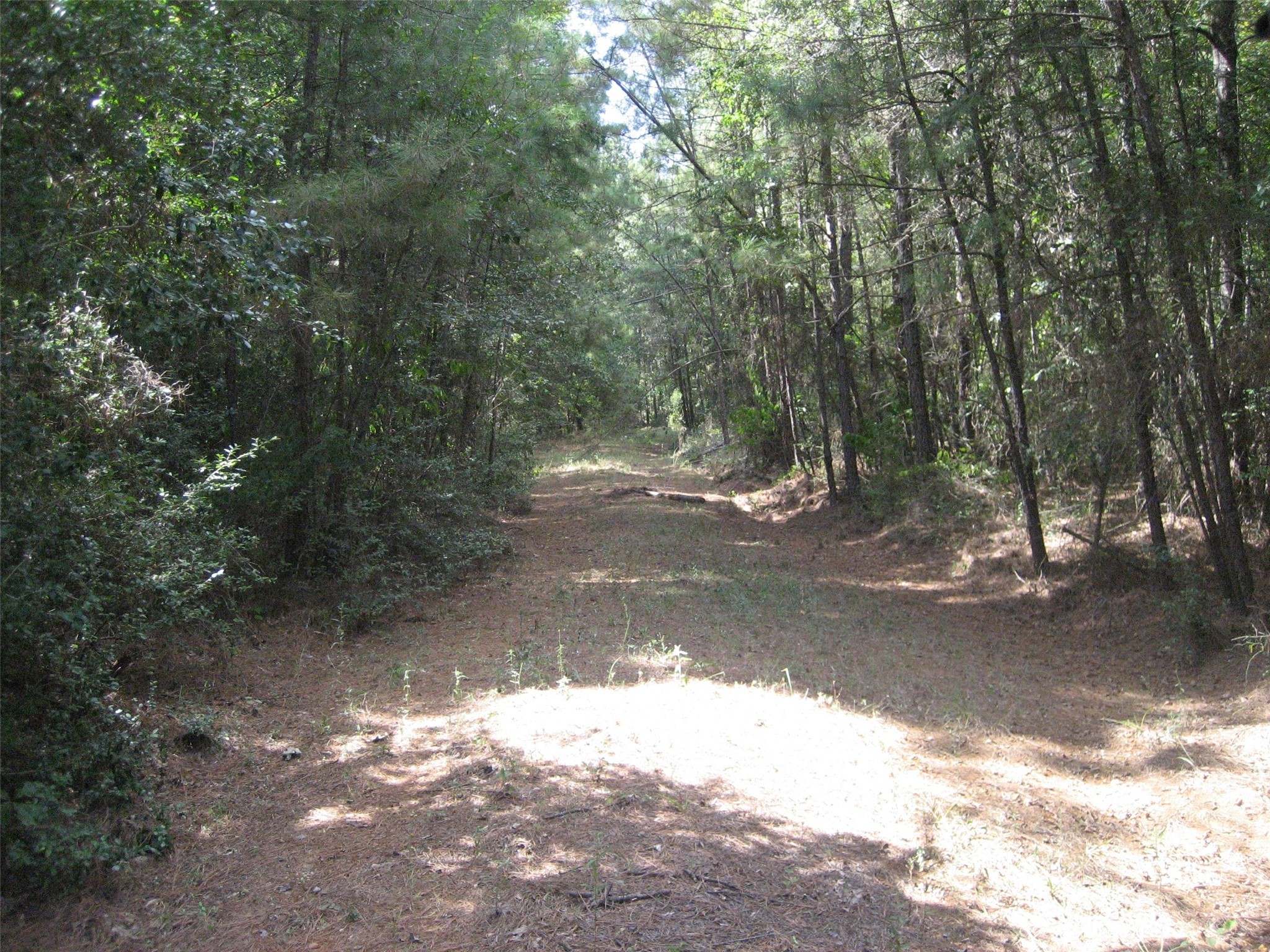 0 State Highway Crockett, TX 75835 - Photo 9 of 18