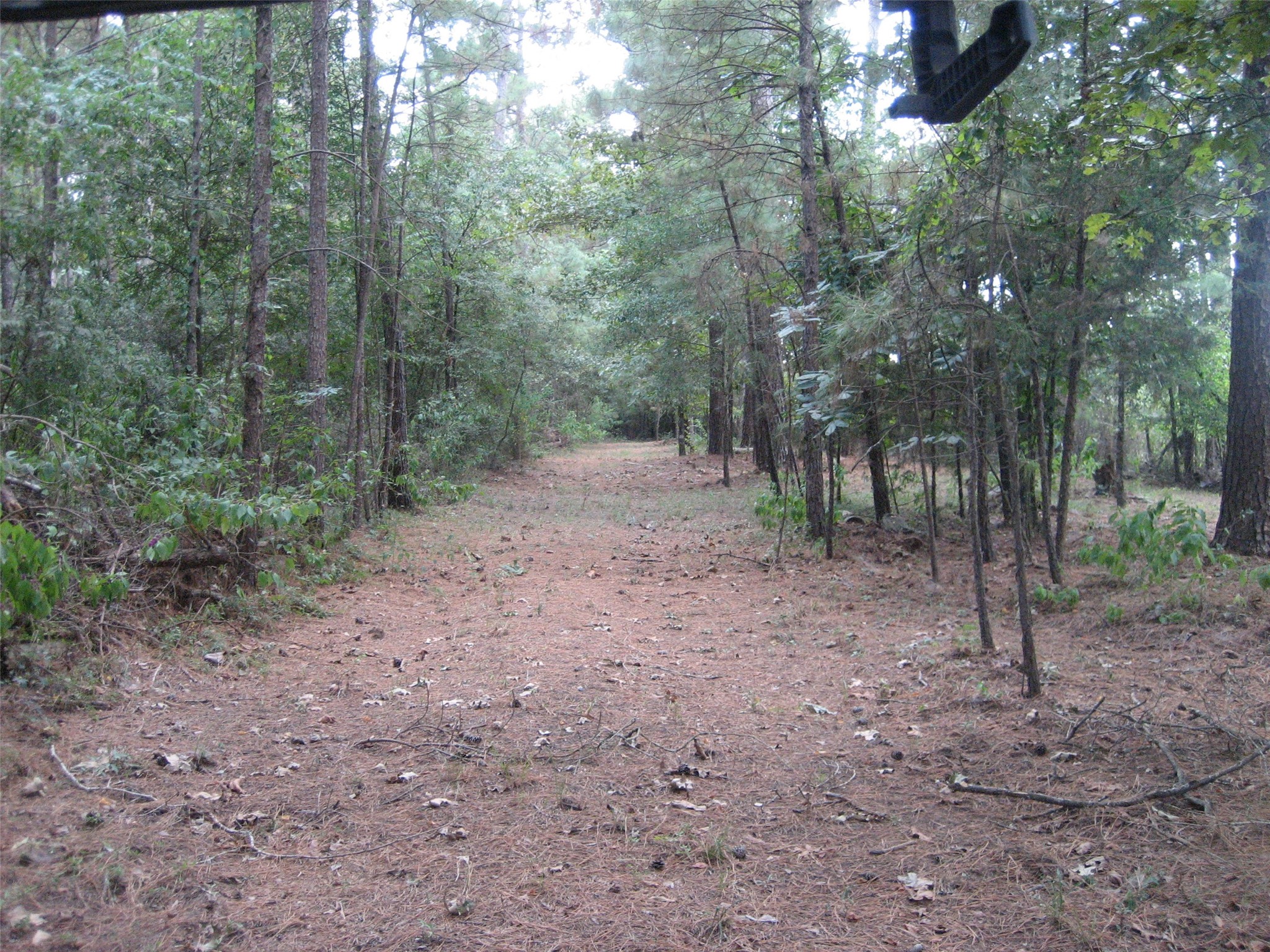 0 State Highway Crockett, TX 75835 - Photo 10 of 18 a view of a forest with trees in the background