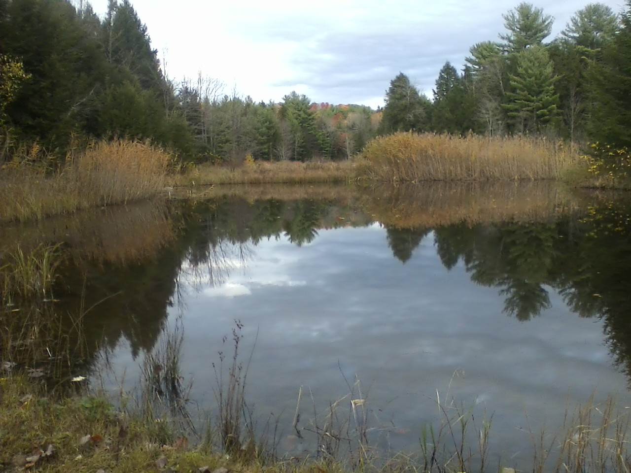 7232 Shaker Road Loudon, NH 03307 - Photo 29 of 30 Gallery Image 29