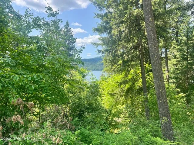 $80,000 | -nka South Lakeview Lane, Harrison, ID 83833