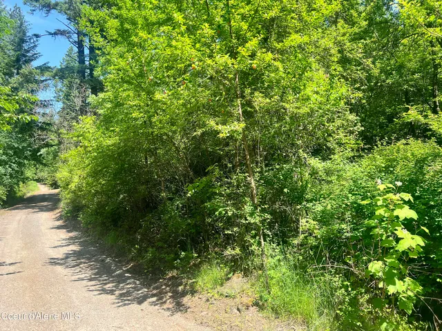 $80,000 | -nka South Lakeview Lane, Harrison, ID 83833