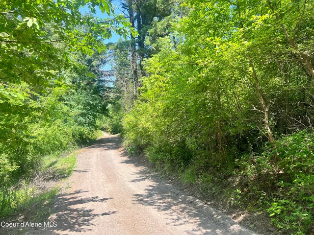 $80,000 | -nka South Lakeview Lane, Harrison, ID 83833