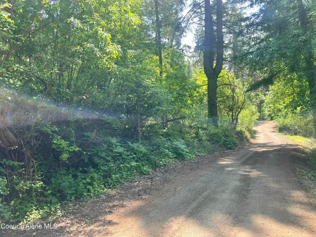 $80,000 | -nka South Lakeview Lane, Harrison, ID 83833